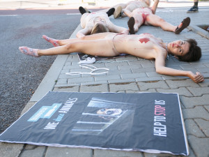 Aktivistky na jižní Moravě se kvůli zvířatům svlékly a polily umělou krví