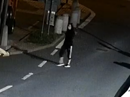 Kamery zachytily také další osoby