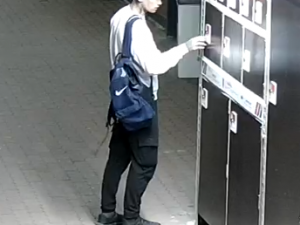 ZKamery zachytily také další osoby