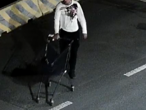 Kamery zachytily také další osoby