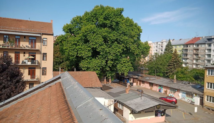 Lužánečtí jsou proti stavbě nového věžáku. Zničí stromy, říkají