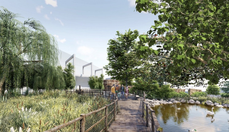 Vyškovské husy a kačeny se vyřádí v nových jezírcích. Rekonstrukce zooparku začne letos, tvrdí ředitelka