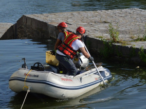 Rybáři vylovili z Dyje poslední várku mrtvých ryb