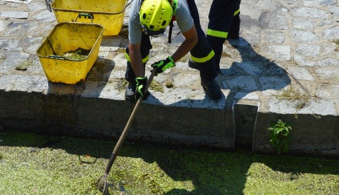 Rybáři vylovili z Dyje poslední várku mrtvých ryb