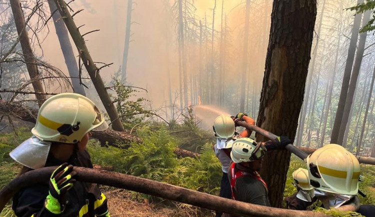 Do Českého Švýcarska se sjeli hasiči z celé republiky. Z obrany proti požáru přejdou do útoku