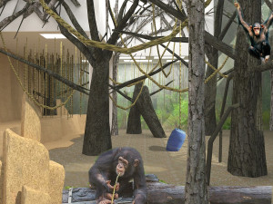 Nový pavilon, noví šimpanzi. V brněnské zoo začala stavba domova pro primáty