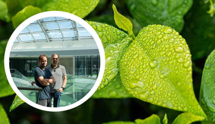 Karel Říha a Albert Cairó