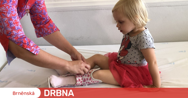 A splint instead of an amputation.  Thanks to doctors from Brno, Tonička can walk Health |  News |  Brno Gossip