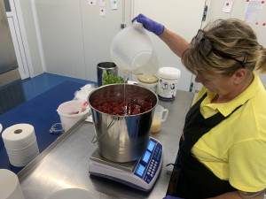 Zmrzlináři, kteří dobývají Moravu i svět