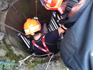 Na jižní Moravě kvičel o pomoc čuník, který se topil ve studni