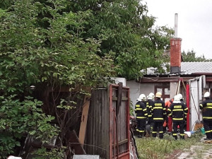 Na jižní Moravě kvičel o pomoc čuník, který se topil ve studni