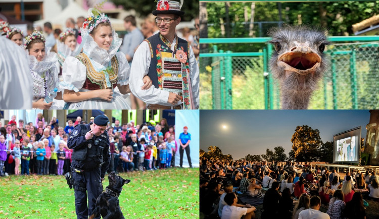 Kam o posledním prázdninovém víkendu? Parním vlakem na dožínky i do zoo