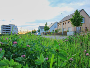 Nebaví vás Brno? Pojďte žít do Žďáru