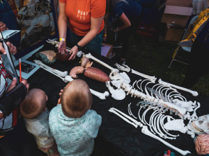 Brněnská hvězdárna zve na Festival vědy