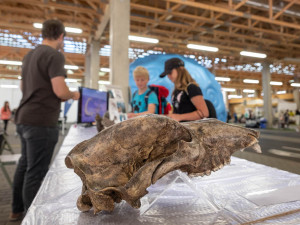 Brněnská hvězdárna zve na Festival vědy