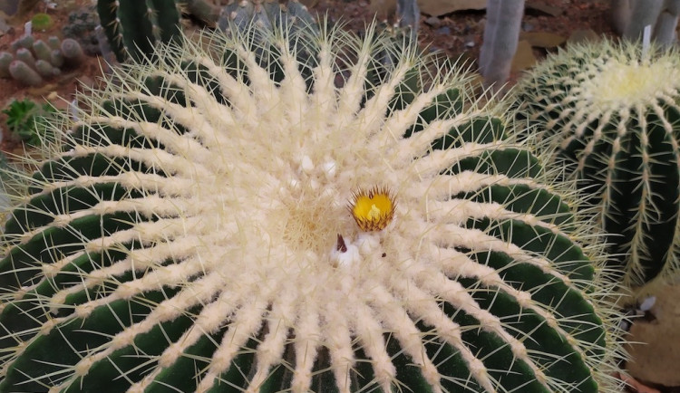 Copyright 2022. All rights reserved.