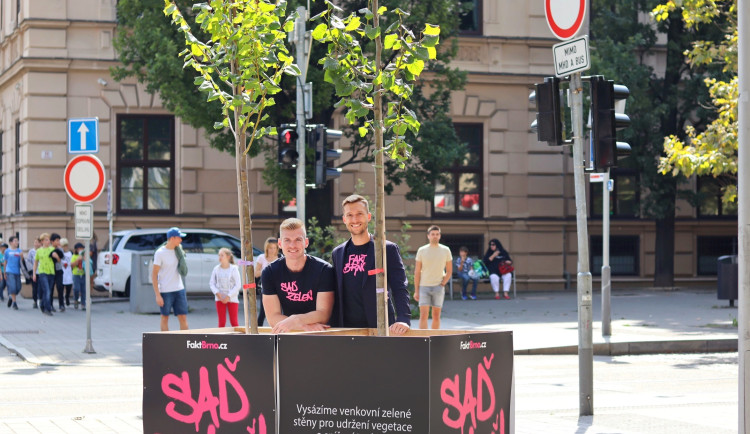 Centrum zaplavily stromy hnutí Fakt Brno. Po volbách je zasadí v Technologickém parku