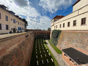 V Brně vystavili psí těla bez hlav. Armáda soch hlídá Špilberk