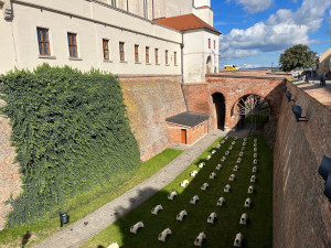 V Brně vystavili psí těla bez hlav. Armáda soch hlídá Špilberk