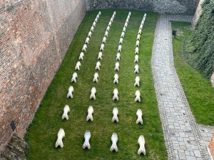 V Brně vystavili psí těla bez hlav. Armáda soch hlídá Špilberk