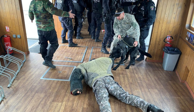 Brněnští strážnici nacvičovali zásahy v krizových situacích na lodi. Součástí tréninku byli i psi