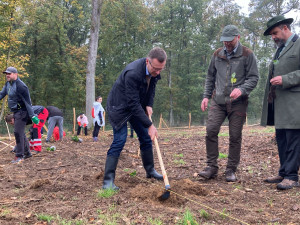 V Brně vysadili nový les po kůrovcové kalamitě. Do země kopl i ministr