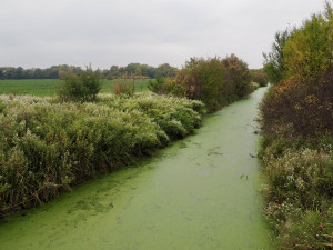 Když sen o Německu končí na moravském poli. Česko čelí historické vlně migrantů  