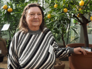 Do Brna dorazila citrusová výstava. Mezi exponáty se objeví i kávovníky nebo houby