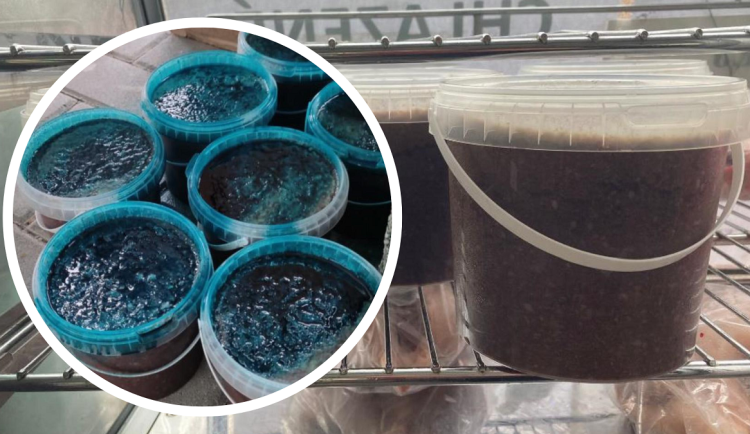 Zabíjačka, kterou objevili kontroloři v Brně