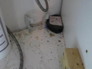 Na hlavním tahu z Brna na Svitavy zavřeli beznínku. Kálely tam myši