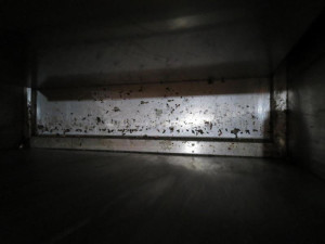 Na hlavním tahu z Brna na Svitavy zavřeli beznínku. Kálely tam myši