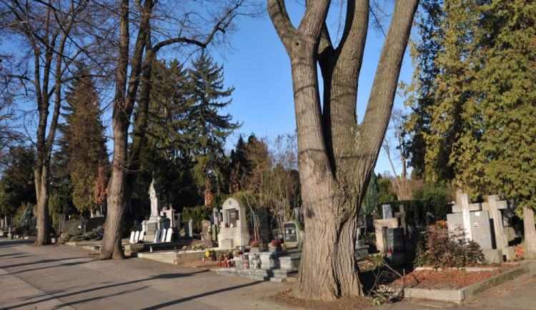 Lidi v Brně svezou k hrobům minibusy i posílené šaliny