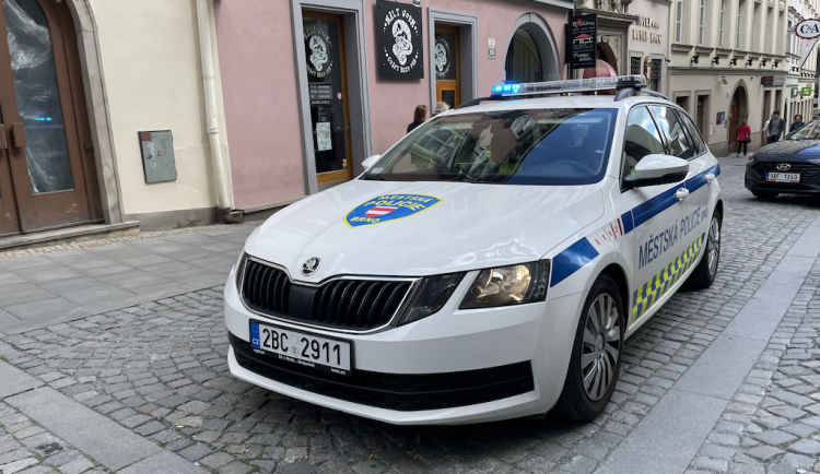 Řidičák nemám, ale vízum ano, vysoukal ze sebe opilý cizinec v Brně