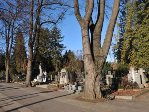 Lidi v Brně svezou k hrobům minibusy i posílené šaliny