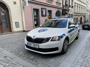 Řidičák nemám, ale vízum ano, vysoukal ze sebe opilý cizinec v Brně