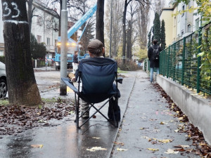 Lidmi z Brna cloumají emoce. Dělníci kácí stoletou lipovou alej