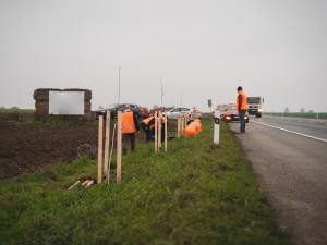 Jihomoravští silničáři vysázeli u odpočívadla Rohlenka stovky stromů