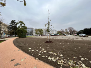 Moravské náměstí v Brně má po rekonstrukci. Chystá se otevíračka 