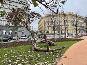 Moravské náměstí v Brně má po rekonstrukci. Chystá se otevíračka 
