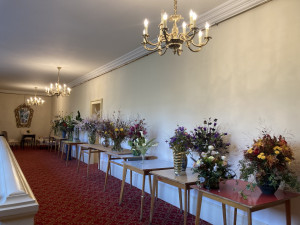 Vilu v Brně zaplavili milovníci rostlin. Soutěžili, kdo je šikovnější květinář