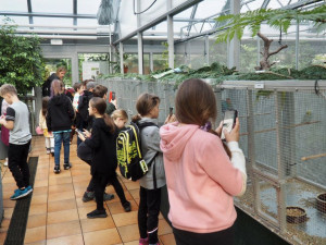 Do brněnské botanické zahrady přilétli tropičtí ptáci. K vidění jsou i morčata a další exotická zvířata