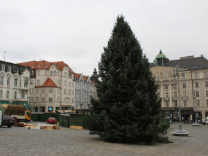 Brno se chystá na Vánoce. Dělníci staví stánky a na Zelňáku už mají strom