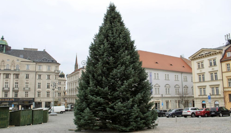 Brno se chystá na Vánoce. Dělníci staví stánky a na Zelňáku už mají strom