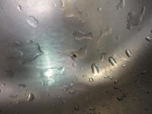 Laskonky, turecká káva a myší výkaly. Potravináři zavřeli cukrárnu v Břeclavi