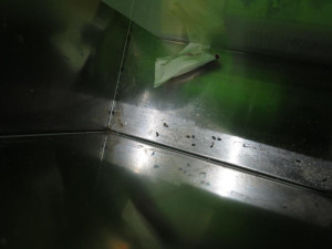 Laskonky, turecká káva a myší výkaly. Potravináři zavřeli cukrárnu v Břeclavi