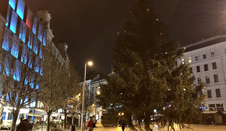 Brno má vysoký vánoční strom. Smrk přijel na náměstí Svobody autem