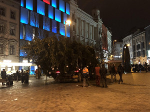 Brno má vysoký vánoční strom. Smrk přijel na náměstí Svobody autem