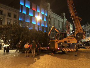 Brno má vysoký vánoční strom. Smrk přijel na náměstí Svobody autem