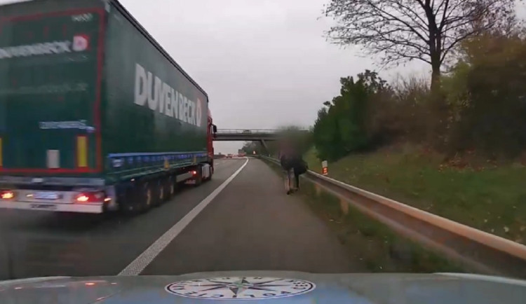 Cizinci na dálnici D1