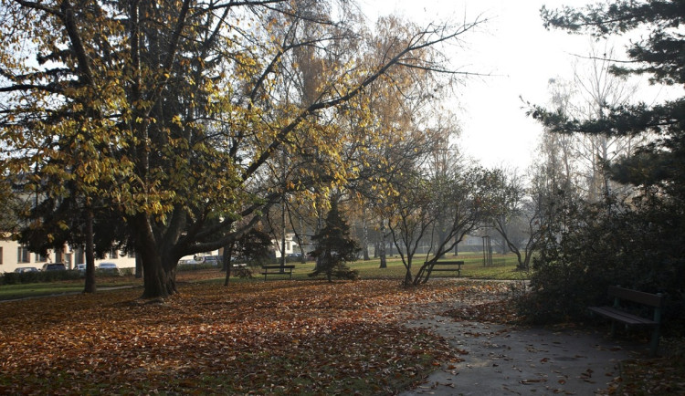 Park Na Solidaritě projde revitalizací. Bude mít nové cesty i osvětlení